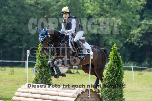 Goldene Schärpe 2021 - Ponys