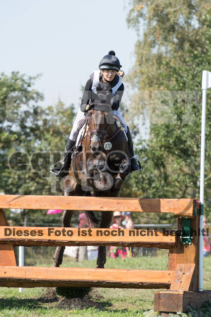 FEI European Championship Eventing 2019