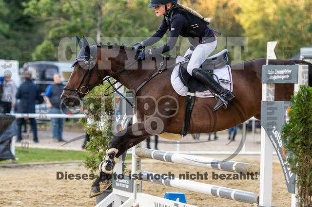 RFV Dinslaken-Hiesfeld (Herbstturnier)