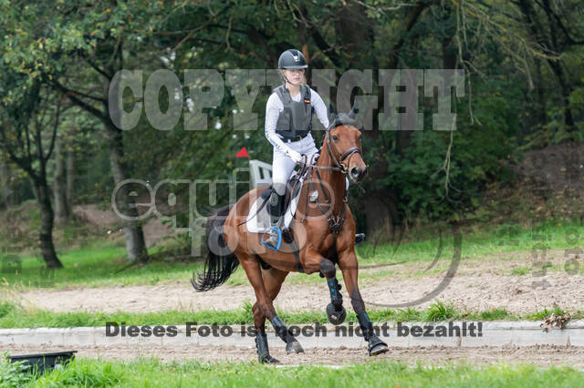 Goldene Schärpe 2020 - Pferde