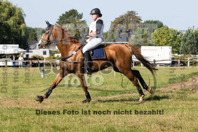 Vielseitigkeitsturnier RSV St. Hubertus Wesel Obrighoven