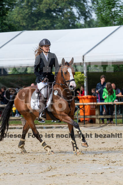 Goldene Schärpe 2021 - Ponys