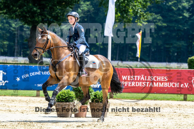 Goldene Schärpe 2021 - Ponys
