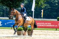 Goldene Schärpe 2021 - Ponys