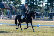 Kronenberg - De Peelbergen (August 2020)