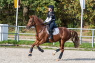 IGV Lehrgang der Sieger der Cups mit Frank Ostholt