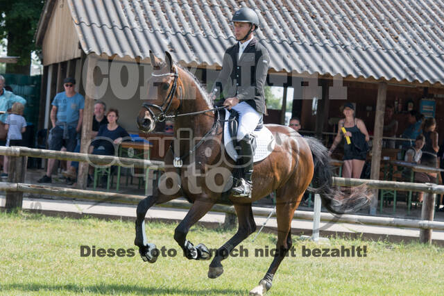 Vielseitigkeitsturnier ZRuFV von Lützow Hamminkeln