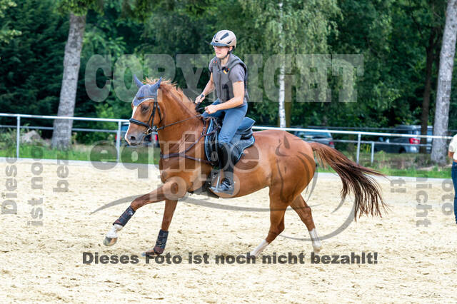 Hunter Geländetraining 10.07.2021 (Sonsbeck)