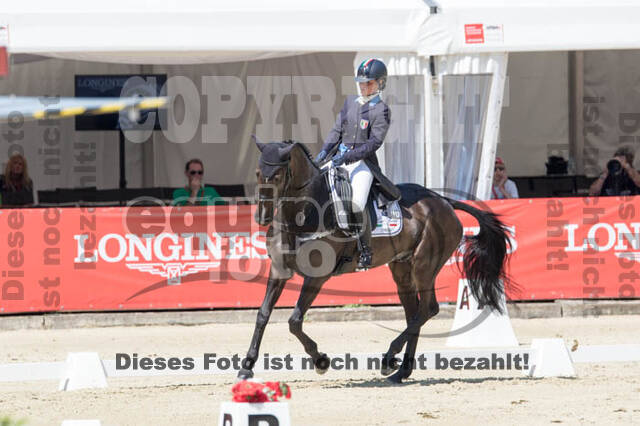 FEI European Championship