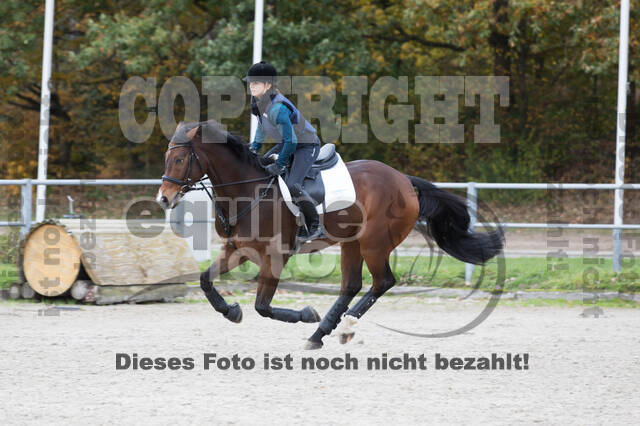 IGV Lehrgang der Sieger der Cups mit Frank Ostholt