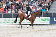FEI European Championship Eventing 2019
