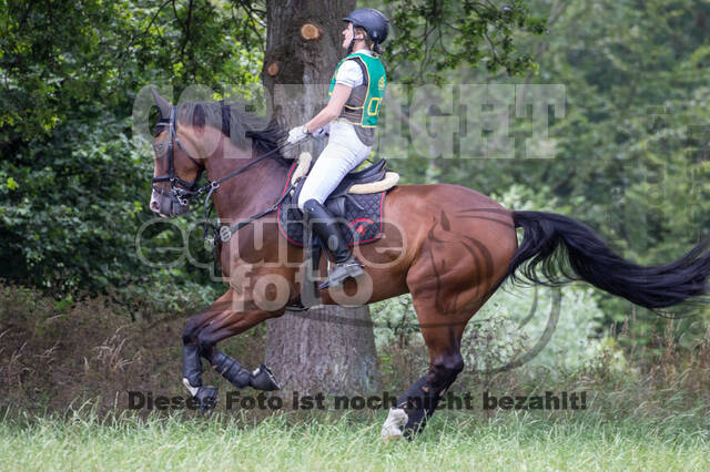 Late-Entry-Vielseitigkeit Gahlen (18.07.2020)