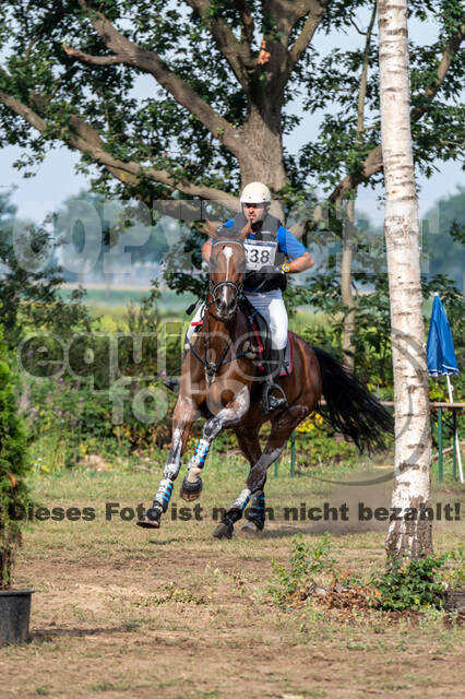 De Peelbergen (August 2020)