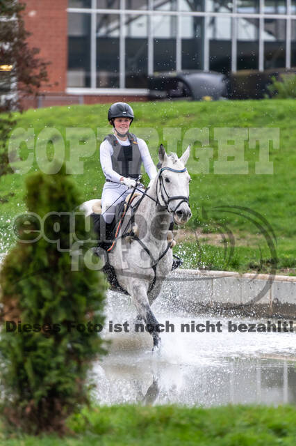 Goldene Schärpe 2020 - Pferde
