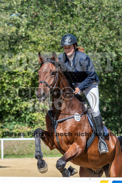RFV Dinslaken-Hiesfeld (Herbstturnier)