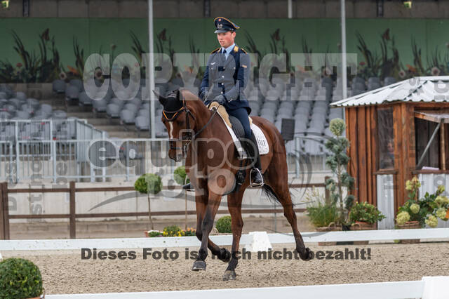 Deutsche Meisterschaft Vielseitigkeit (Luhmühlen)