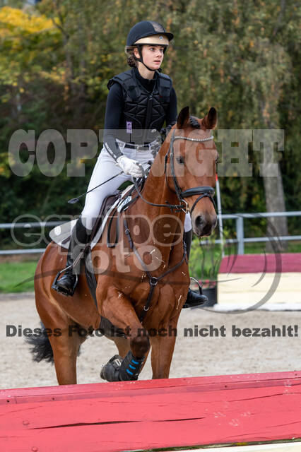 Reiter Schleswig-Holstein