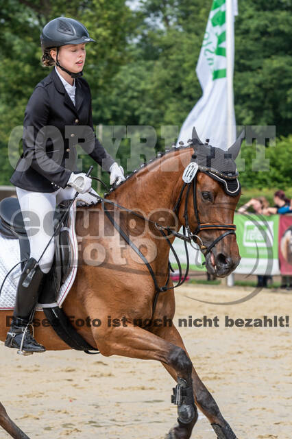 Goldene Schärpe 2021 - Ponys