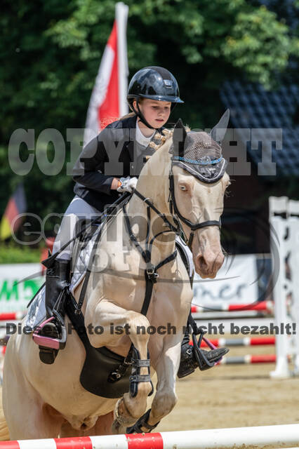Goldene Schärpe 2021 - Ponys