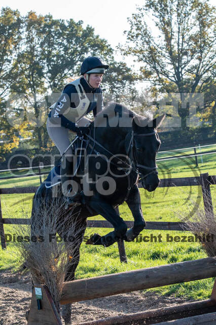Vielseitigkeitslehrgang mit Jürg Kurbel (9.+10.11.2019)
