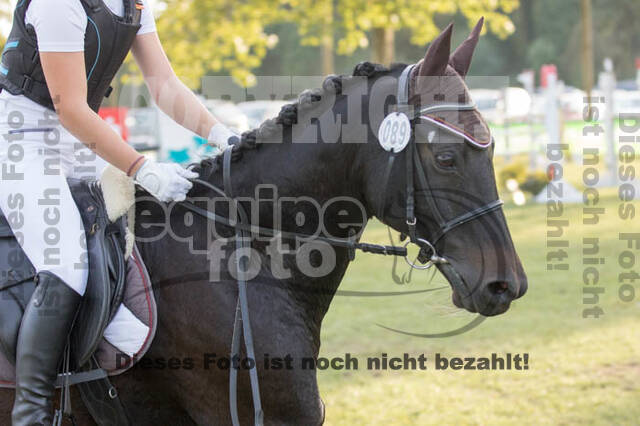 IGV Kleve