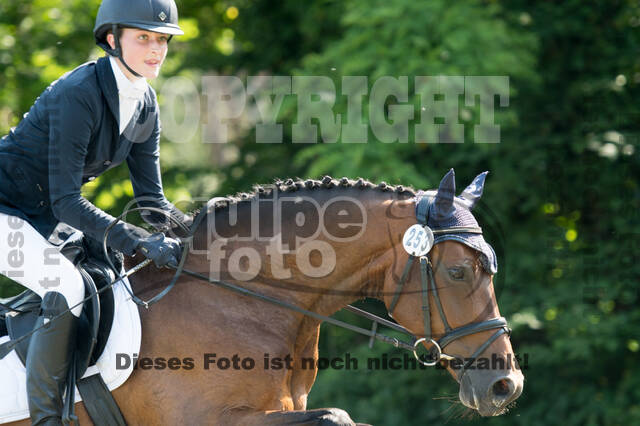 Vielseitigkeitsturnier ZRuFV von Lützow Hamminkeln