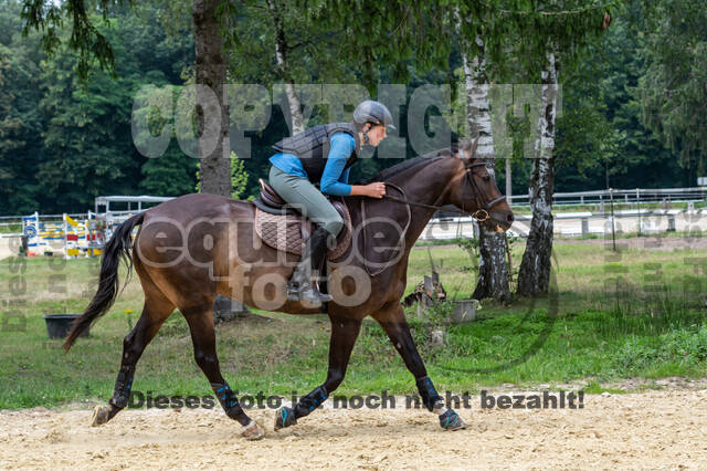 Hunter Geländetraining 10.07.2021 (Sonsbeck)