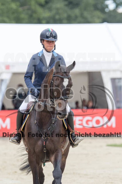 FEI European Championship