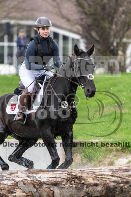 Goldene Schärpe 2020 - Pferde