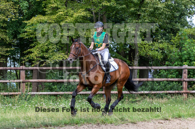 Late-Entry-Vielseitigkeit Gahlen (18.07.2020)