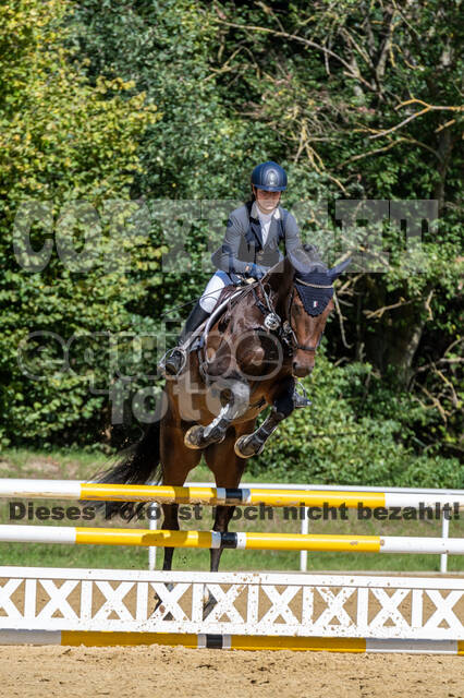 RFV Dinslaken-Hiesfeld (Herbstturnier)