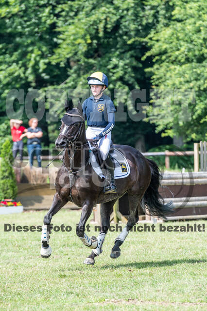 Goldene Schärpe 2021 - Ponys