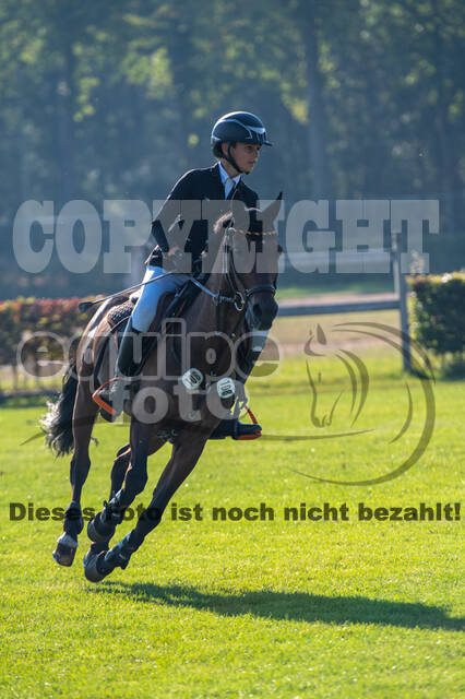 De Peelbergen (August 2020)