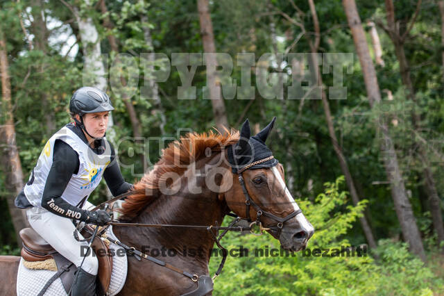 Late-Entry Vielseitigkeit Hamminkeln/Wesel (01.+02.08.2020)