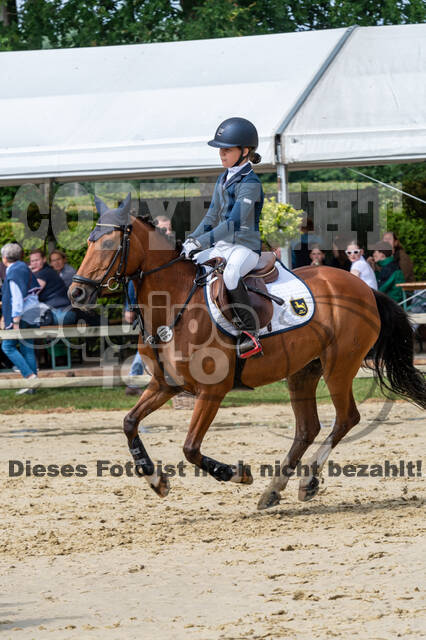 Goldene Schärpe 2021 - Ponys
