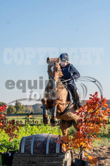 Vielseitigkeitslehrgang mit Jürg Kurbel (9.+10.11.2019)