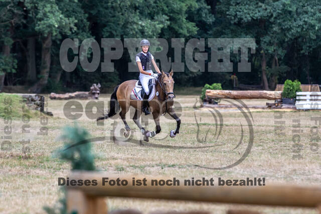 Late-Entry Vielseitigkeit Hamminkeln/Wesel (01.+02.08.2020)
