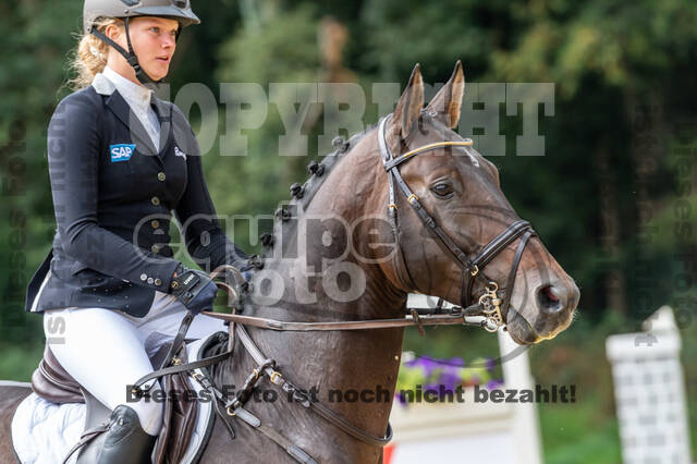 Vielseitigkeit RSV Wesel Obrighoven (26.+27.09.2020)