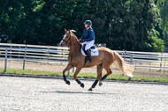 Late-Entry-Vielseitigkeit Langenfeld (11.+13./14.06.2020)