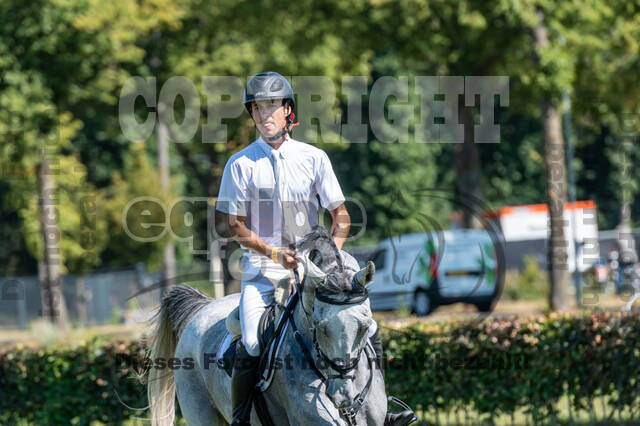 Kronenberg - De Peelbergen (August 2020)