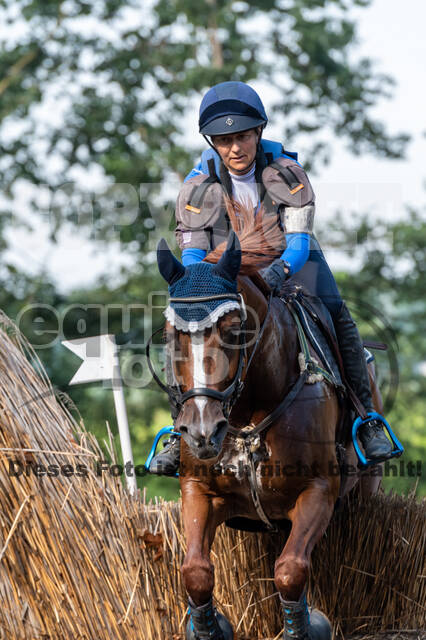 De Peelbergen (August 2020)