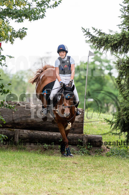 Late-Entry-Vielseitigkeit Langenfeld (11.+13./14.06.2020)