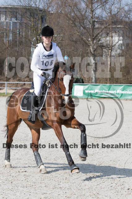 Eventing Langenfeld 2018