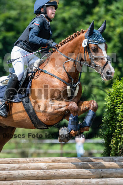 Goldene Schärpe 2021 - Ponys