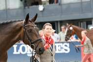 FEI European Championship Eventing 2019
