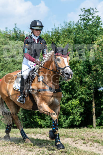 Goldene Schärpe 2021 - Ponys