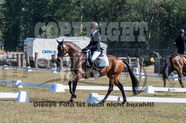 Kronenberg - De Peelbergen (August 2020)