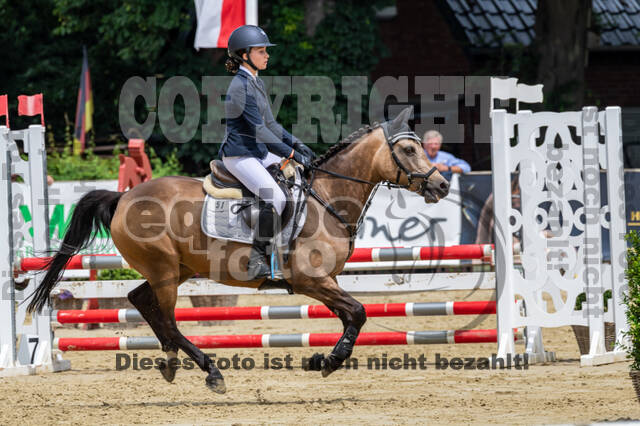 Goldene Schärpe 2021 - Ponys