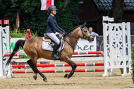 Goldene Schärpe 2021 - Ponys