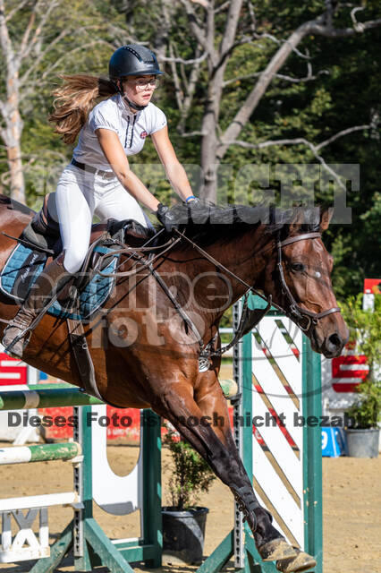 RFV Dinslaken-Hiesfeld (Herbstturnier)